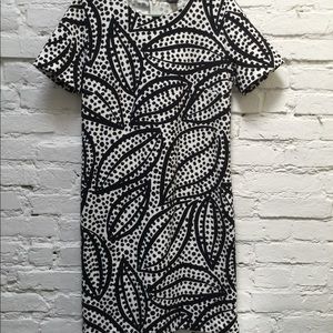 Ann Taylor summer dress